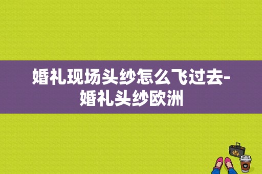 婚礼现场头纱怎么飞过去-婚礼头纱欧洲